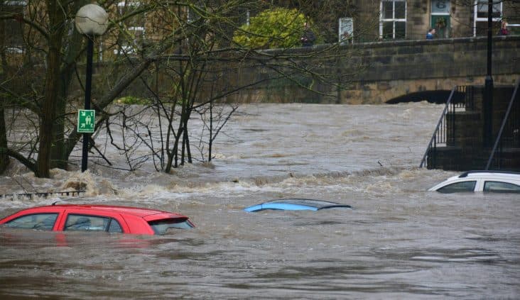 Stormbirds disaster readiness initiative: Building resilience through social-emotional learning