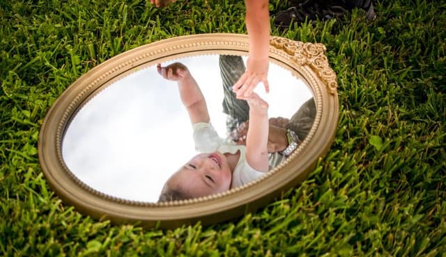 Curiouser and Curiouser: What Alice helps us see about who should teach