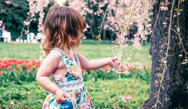 Embedding culture every day: Evans Head–Woodburn Preschool recognised for reconciliation leadership