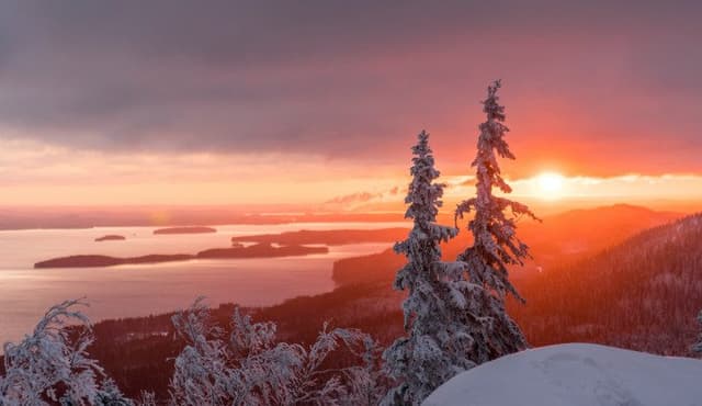 Finland’s “Strength from Parenthood” project: What an international initiative can teach ECEC leaders in 2026